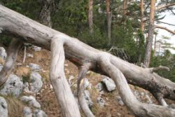 2011-04-24_Regina-F-Rau_Brunnstein-Spitze (058).JPG